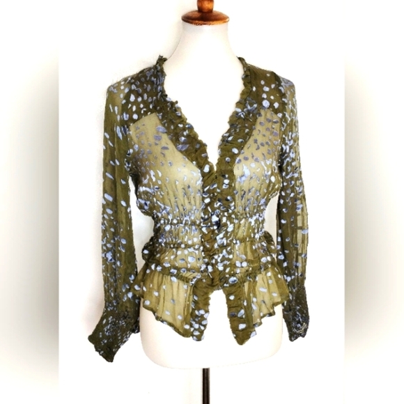 SHEER CUT VELVET CHIFFON BLOUSE - Picture 1 of 10